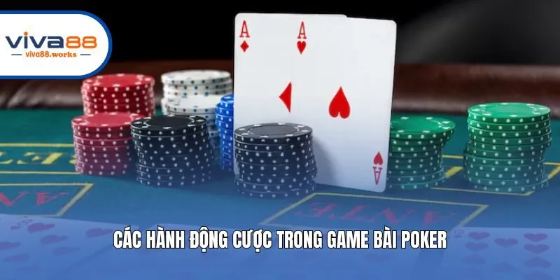 Các hành động cược trong game bài Poker